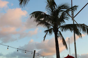 Meet your Posher, Berkley